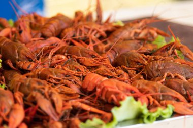 kırmızı ıstakoz haşlanmış kırmızı kerevit gıda. sokak gıda festivali