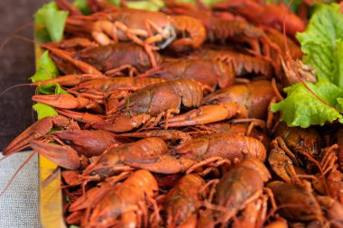 kırmızı ıstakoz haşlanmış kırmızı kerevit gıda. sokak gıda festivali