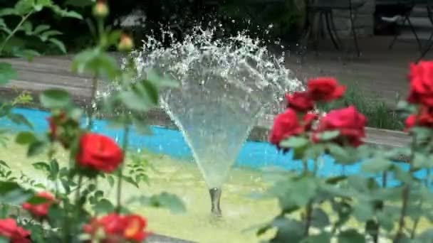 Dekorativer Kleiner Brunnen Park Verwischte Rote Rosen Vordergrund Landschaftsgestaltung — Stockvideo