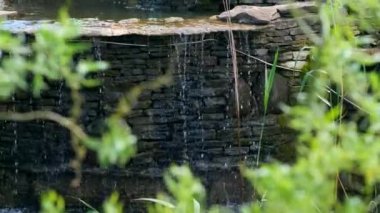 Parkta ya da bahçede dekoratif bir şelale. Peyzaj tasarımı