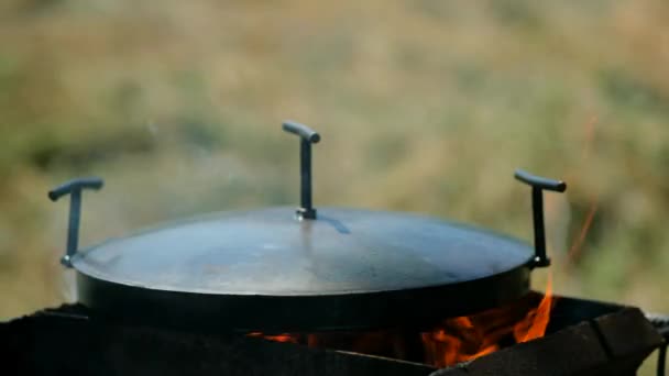 Frigideira Grade Disco Com Uma Tampa Para Cozinhar Sobre Uma — Vídeo de Stock