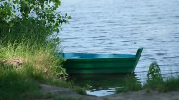 Belle Rive Lac Par Une Journée Été Bateau Bois Vert — Video