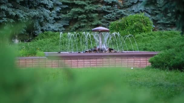 Dekorativer Pilzbrunnen Mit Rinnsalen Hintergrund Des Grüns Stadtpark — Stockvideo