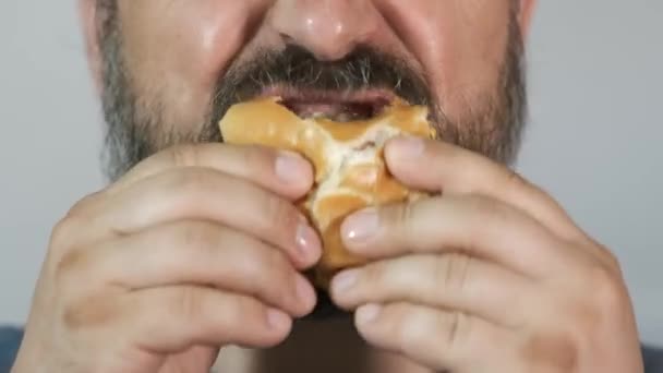 Dorosły Brodaty Mężczyzna Jedzący Odżywczego Hamburgera Śmieciowe Jedzenie Zbliżenie Skupienie — Wideo stockowe