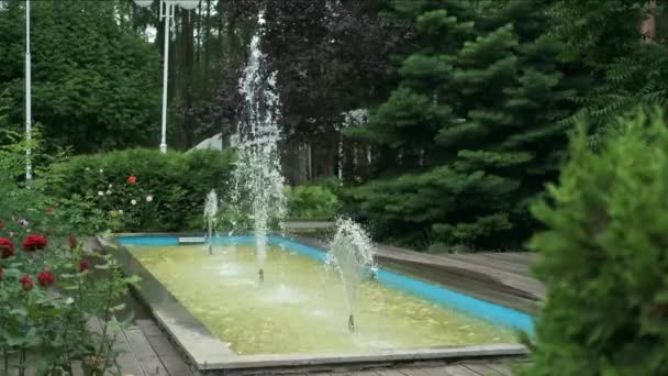 Pequeña Fuente Decorativa Parque Ciudad Hermosas Rosas Crecen Fondo Diseño — Vídeos de Stock