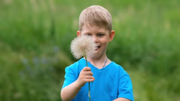 Niño Pequeño Sopla Sobre Una Gran Flor Diente León Mientras — Vídeo de stock