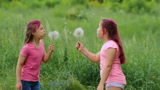 Due Bambine Soffiano Grandi Fiori Tarassaco Mentre Giocano Una Radura — Video Stock