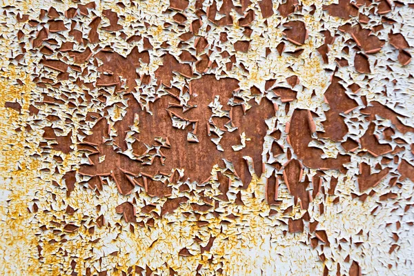 Rusty background. A rusty old metal plate with cracked white gloss paint.