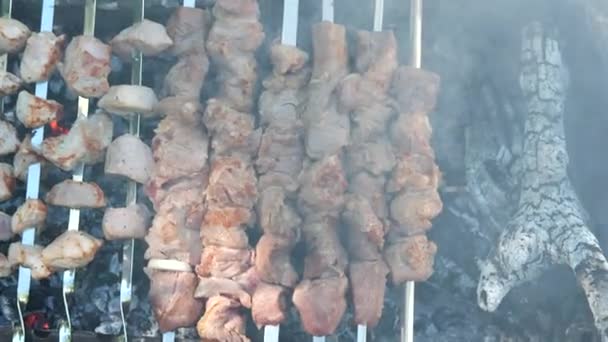 Primer Plano Trozos Carne Jugosa Brochetas Fritas Carbón Picnic Con — Vídeos de Stock