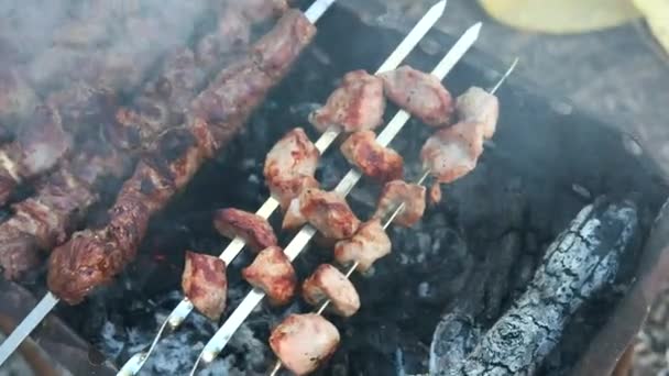 Close Pedaços Carne Suculenta Espetos Fritos Brasas Piquenique Com Kebabs — Vídeo de Stock