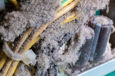 Bilgisayar parçasında çok fazla toz var. Bilgisayardaki kabloları tozla temizliyorum..