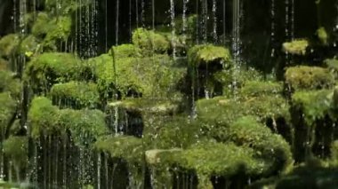 Dekoratif şelale yaz günü yeşil yosunlarla kaplandı. Peyzaj tasarımı.