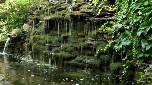 Decorative Waterfall Overgrown Green Moss Clay Jug Park Landscape Design — Stock Video