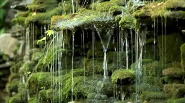 Dekoratif şelale yaz günü yeşil yosunlarla kaplandı. Peyzaj tasarımı.