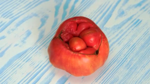 Grande Tomate Vermelho Feio Roído Gira Uma Tábua Madeira — Vídeo de Stock