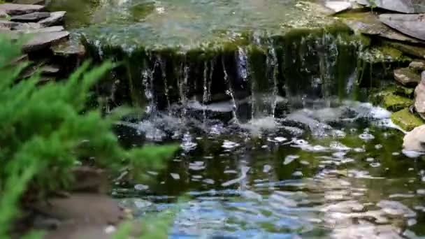 Una Pequeña Cascada Decorativa Parque Diseño Del Paisaje — Vídeos de Stock