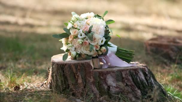 Belo Buquê Rosas Tons Rosa Está Toco Árvore Decoração Casamento — Vídeo de Stock