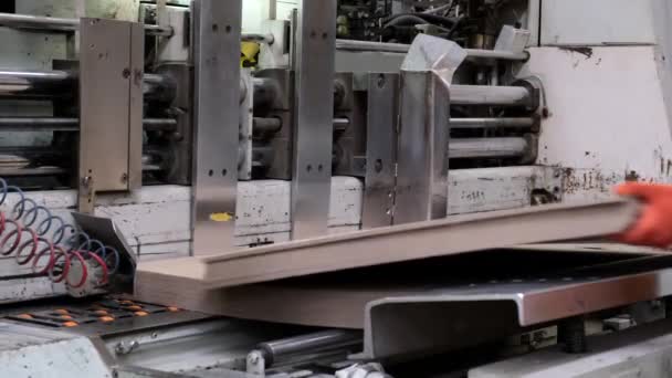 段ボール容器の生産のための企業 段ボール箱の製造用機械に板紙を入れた労働者 — ストック動画