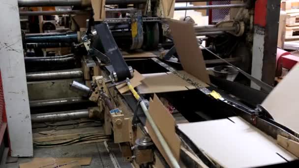 Ligne Convoyeur Pour Production Boîtes Machine Sculpter Des Boîtes Carton — Video