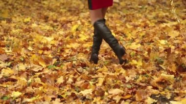 Kapatın. Siyah güzel çizmeli bir kızın bacakları. Kız sonbahar parkındaki sarı yaprakların üzerinde..