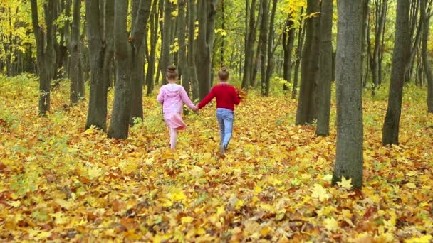 Dos Niñas Caminan Parque Otoño Recogen Ramo Hojas Amarillas — Vídeo de stock