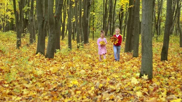 Zwei Kleine Mädchen Spazieren Durch Den Herbstpark Und Sammeln Einen — Stockvideo