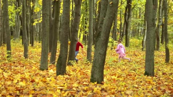 Két Kislány Szaladgál Őszi Parkban Begyűjtenek Egy Csokor Sárga Levelet — Stock videók