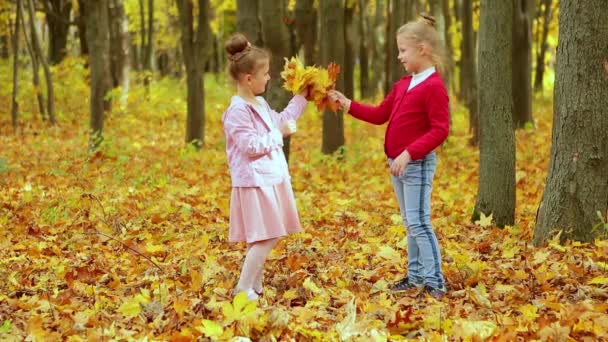 Két Kislány Ősszel Egy Csokor Sárga Levelet Gyűjt Parkban — Stock videók