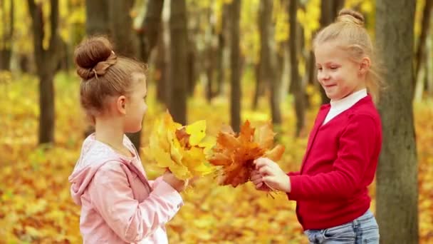 Zwei Kleine Mädchen Sammeln Herbst Park Einen Strauß Gelber Blätter — Stockvideo