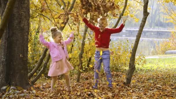 Twee Kleine Meisjes Gooien Herfstbladeren Het Park Kind Spelen Herfst — Stockvideo