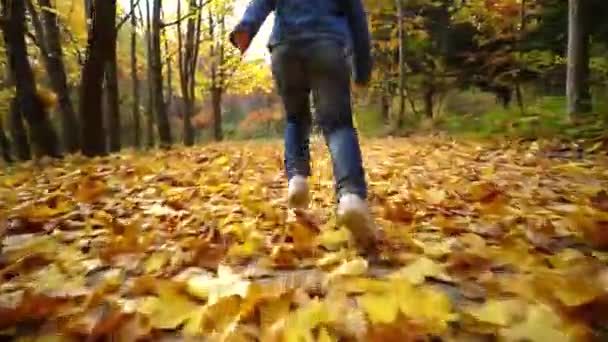 Egy Kislány Sárga Lehullott Leveleken Fut Őszi Parkban Visszapillantás — Stock videók