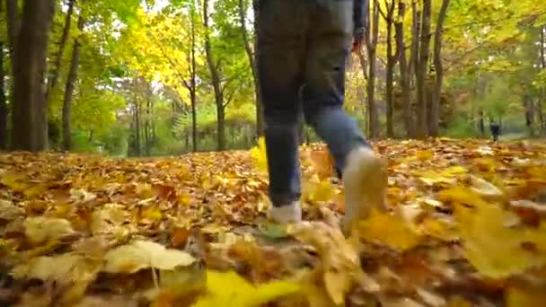 Una Niña Camina Parque Otoño Vista Trasera Cámara Está Movimiento — Vídeos de Stock