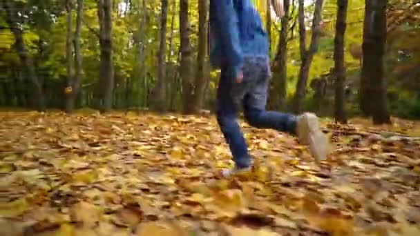 Mała Dziewczynka Biega Żółtych Opadłych Liściach Jesiennym Parku Widok Tyłu — Wideo stockowe