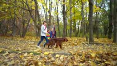 Mutlu, birbirine kenetlenmiş aile, güz parkında köpek İrlandalısıyla yürüyor. Birbirine bağlı aile kavramı..