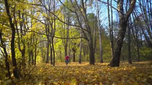 Happy Baby Girl Jazda Huśtawce Jesienią Świeżym Powietrzu Parku — Wideo stockowe