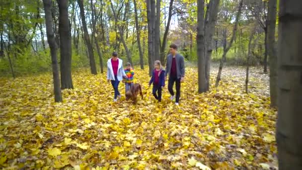 Fröhliche Familienspaziergänge Mit Dem Hund Irish Setter Durch Den Herbstlichen — Stockvideo