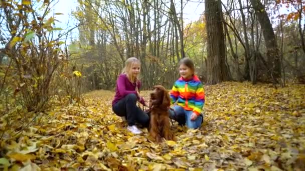 2人の妹女の子遊びますでザ秋の公園でアイルランドのセッター犬 — ストック動画