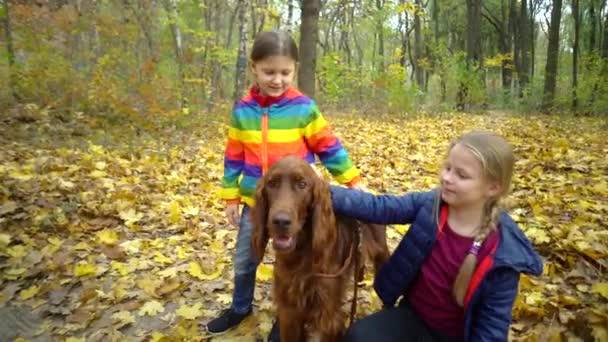 Två Små Systerflickor Leker Höstparken Med Irländsk Setter Hund — Stockvideo