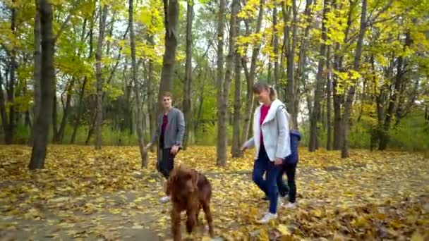 Gelukkige Hechte Familie Wandelingen Door Herfst Park Met Hond Ierse — Stockvideo