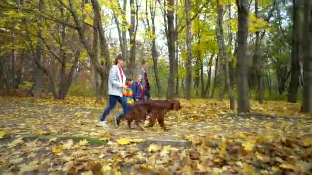 Szczęśliwa Zżyta Rodzina Spaceruje Jesiennym Parku Psem Irlandzkim Seterem Koncepcja — Wideo stockowe