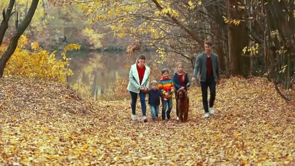 犬のアイルランド人のセッターと一緒に秋の公園を散策してください 親密な家族の概念 — ストック動画