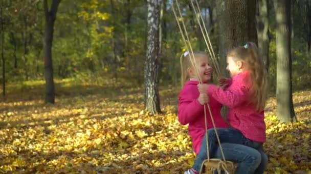 Két Kislány Kötélhintával Játszik Hintáztatják Egymást Őszi Parkban Gyerekek Boldogan — Stock videók