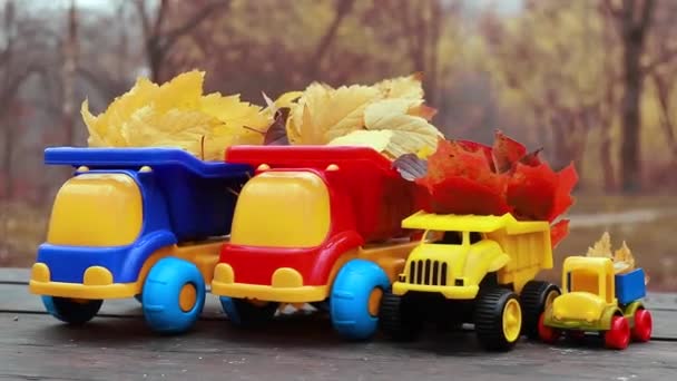 Four Small Toys Truck Loaded Yellow Fallen Leaves Car Stands — Stock Video