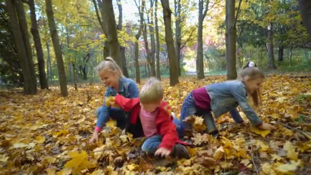 Маленькі Діти Грають Жовтим Листям Осінньому Парку Діти Кидають Листя — стокове відео