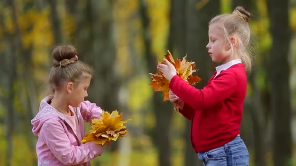 2人の女の子が秋の葉の花束を集めています — ストック動画