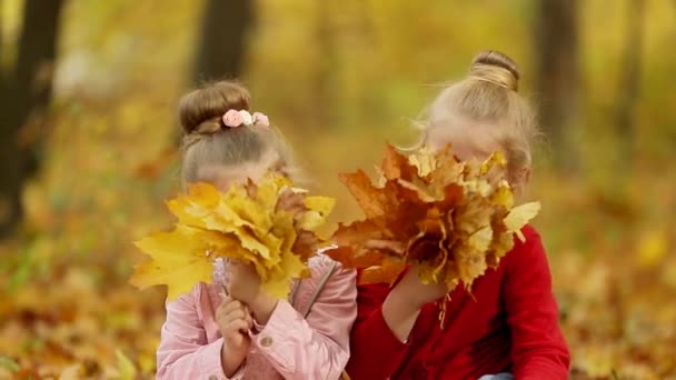 Dos Niñas Están Recogiendo Ramo Hojas Otoño — Vídeos de Stock