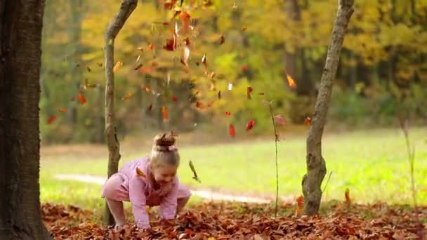 Κοριτσάκι Πετάει Φθινοπωρινά Φύλλα Στο Πάρκο Παιδί Παίζει Στο Πάρκο — Αρχείο Βίντεο