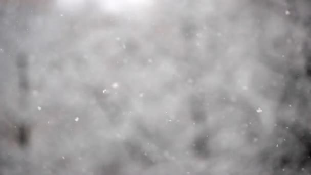 Nieve Invierno Snow Slow Motion Aire Libre Sobre Fondo Natural — Vídeos de Stock