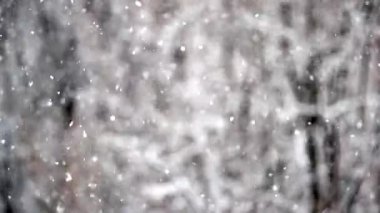 Kış karı. Snow Slow motion, doğal arka planda 50 fps açıkta çekildi. Kar yağışlı kış günlerinde karlı hava.