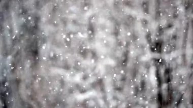 Kış karı. Snow Slow motion, doğal arka planda 50 fps açıkta çekildi. Kar yağışlı kış günlerinde karlı hava.